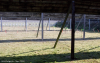 001_IMG_2371_1